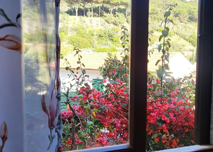 Vanacore Tatil Evi *