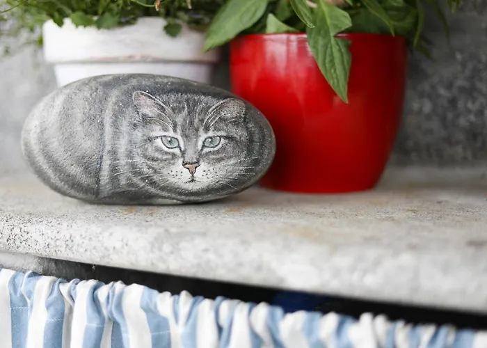 Tatil Evi Vanacore *